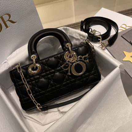 π-ππΌπ Horizontal Lady Dior -Small